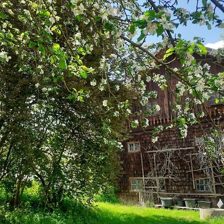 Ferienwohnung Kreiller Johanniskirchen Exteriör bild