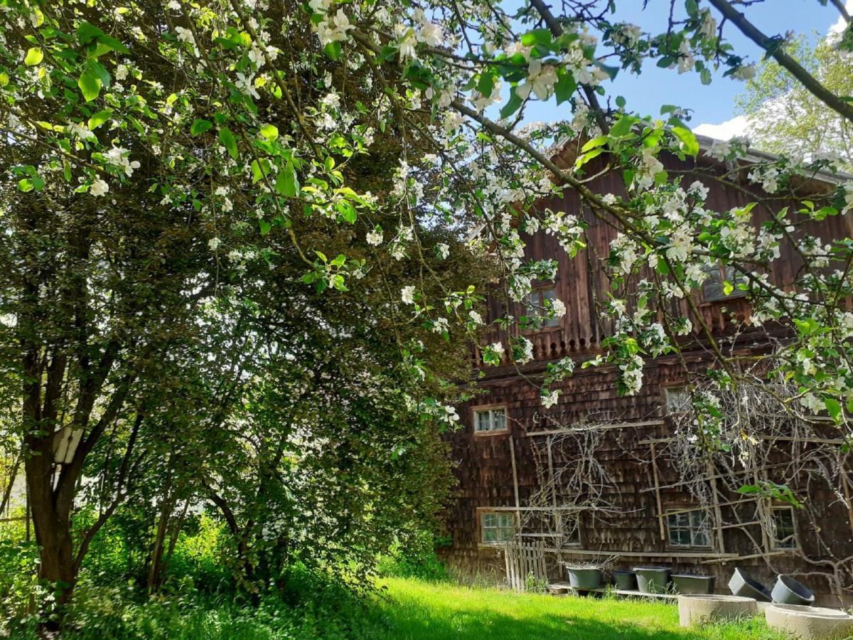 Ferienwohnung Kreiller Johanniskirchen Exteriör bild